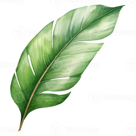 Banana Leaf Drawing, Wedding People, Tree Saw, Leaf Drawing, Plant Painting, Heart Tree, Cityscape Photos, Nature Backgrounds, Heart With Arrow