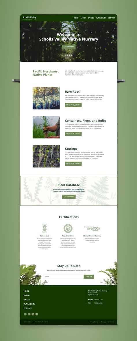 Designing a new website for a local nursery focused on sustainability. Super cool company and great people. Greenhouse Website Design, Conservation Website Design, Agro Website Design, Sustainable Website Design Inspiration, Web Design Sustainability, Nursery Website Design, Resources Page Website Design, Environment Website Design, Eco Friendly Website Design