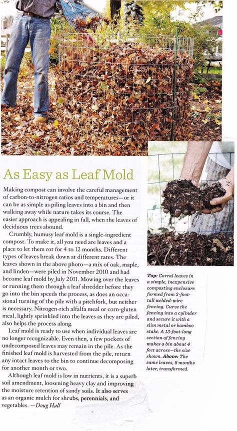 leaf mold compost Leaf Mold Compost, Leaf Mould, Leaf Compost, Leaf Mold, Allotment Gardening, Garden Compost, In The Garden, Garden Ideas, The Garden