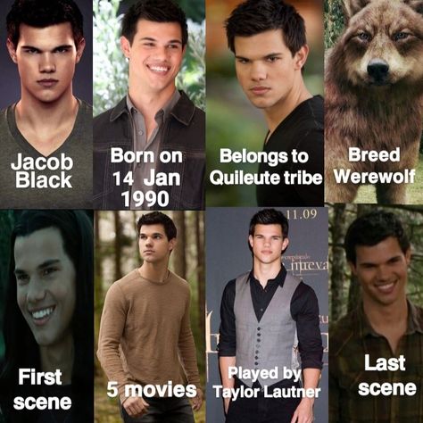 Taylor Lautner Aesthetic, Jacob Black Edits, Taylor Lautner Long Hair, Taylor Lautner 2023, Sumrak Saga, Taylor Lautner Twilight, Tyler Lautner, Taylor Lautner Shirtless, Jacob Twilight