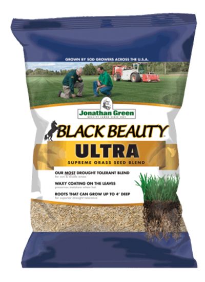 Tips For A Lush, Green Lawn - Hyannis Country Garden Fescue Grass Seed, Tall Fescue Grass, Best Grass Seed, Lawn Repair, Fescue Grass, Jonathan Green, Tall Fescue, Shade Grass, Seeding Lawn