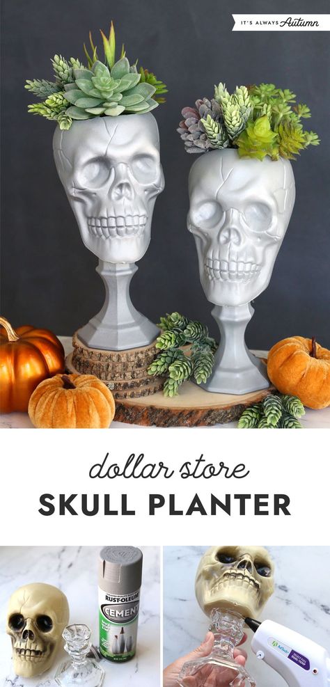 Transform a plastic skull and a glass candle holder from the dollar store into a faux cement skull planter. This easy craft project will be the perfect addition to your Halloween decor. Vampire Outdoor Decor, Halloween Glass Candle Holder, Dollar Store Gothic Decor, Skull Room Decor Ideas, Halloween Planters Diy, Diy Halloween Skull Topiary, Dollar Tree Halloween Skull Decor, Diy Dollar Store Fall Crafts, Bone Halloween Decor