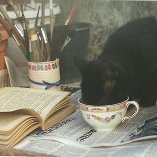 Tennessee, See More, Black Cat, We Heart It, Lost, Tumblr, Coffee, Black, Art