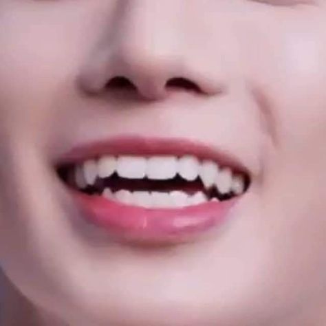 Pointed Canine Teeth Human, Canine Teeth Human Smile, Canine Teeth Human, Canine Teeth Human Aesthetic, Sharp Canine Teeth Human, Teeth Reference, Smile Tips, Canine Teeth, Canine Tooth