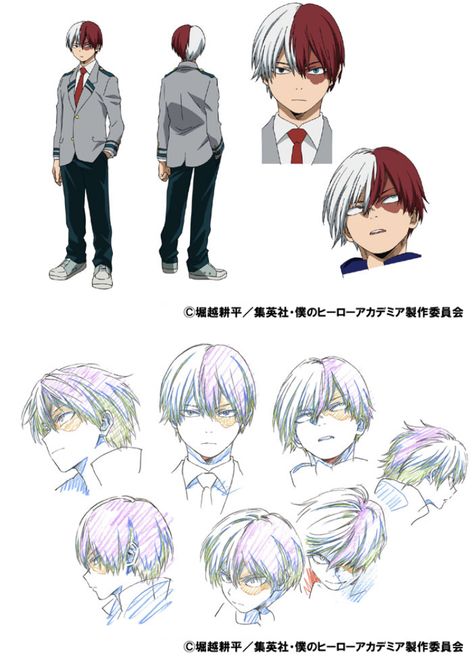 Todoroki Character Sheet, My Hero Academia Character Design Sheet, My Hero Academia Character Sheet, Bnha Character Design, Mha Reference Sheet, My Hero Academia Characters Design, Todoroki Reference, Bnha Character Sheet, Mha Character Design