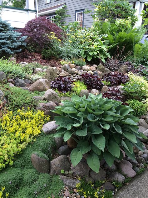 Layered Rock Garden, Hostas Garden Ideas, Hosta Gardens Layout, Hosta Garden Ideas, Hostas Garden, Rockery Garden, Sloped Backyard Landscaping, Shade Garden Design, Shady Garden