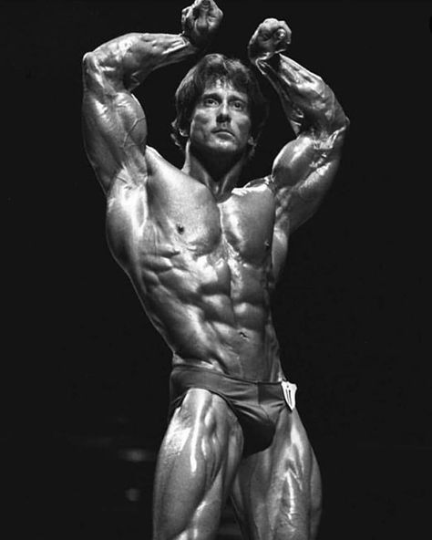 Calisthenics Gym, Old Bodybuilder, Classic Physique, The Chemist, Arnold Schwarzenegger Bodybuilding, Frank Zane, Aesthetics Bodybuilding, Schwarzenegger Bodybuilding, Gym Boy