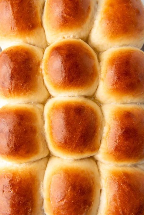 If you're looking to make the best homemade dinner rolls that are soft, fluffy, and perfectly golden brown, you've come to the right place! These buttery dinner rolls are perfect for a Thanksgiving dinner, a holiday meal, or any special occasion! Dinner Rolls Aesthetic, Thanksgiving Yeast Rolls, Thanksgiving Dinner Rolls Recipe, Orange Dinner Rolls, Dinner Rolls Instant Yeast, Homemade Thanksgiving Rolls, Best Rolls For Thanksgiving, Rolls Instant Yeast, Best Thanksgiving Rolls