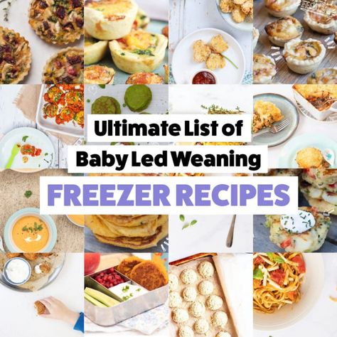 Freezer Friendly Baby Led Weaning and Healthy Family Meal Prep Tips. Feed Everyone Quick with Freezer Friendly Family Food. - Baby Led Feeding Blw Freezer Meals, Baby Led Weaning Meal Prep, Freezer Baby Food, Weaning Foods, Baby Breakfast, Baby Led Feeding, Freezer Food, Freezer Recipes, Freezer Friendly Meals