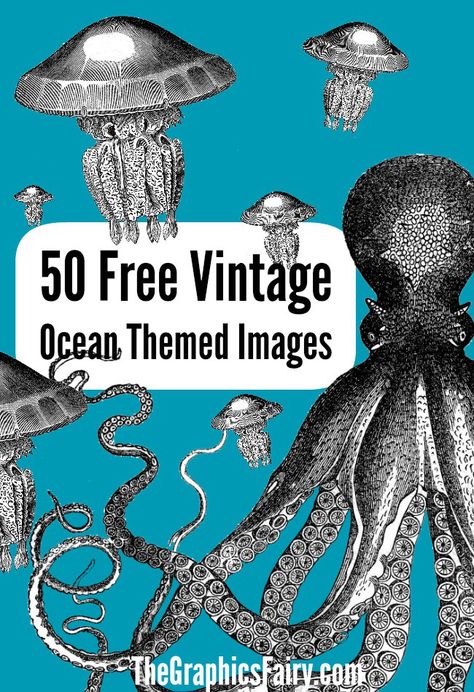 I have 50 favorite free ocean themed graphics for you today! Boats, sea creatures, bathing beauties, and shells are a few of the pretty images you'll find n this round up over at The Graphic Fairy.... Ocean Clipart, Ocean Images, Nautical Crafts, Vintage Ocean, The Graphics Fairy, Graphics Fairy, Vintage Junk, Free Poster, Vintage Junk Journal