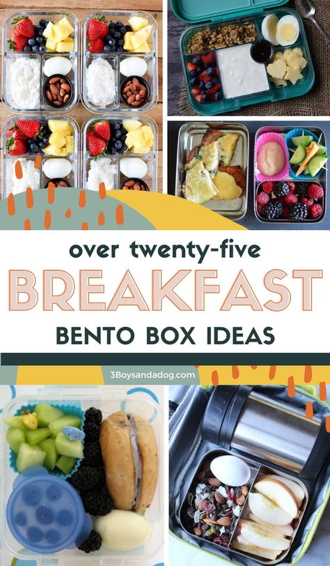 Start the day with these delicious Bento Breakfast Box Ideas! They're fast, simple, and full of flavor - and ready to fill bellies! Breakfast Snack Box Ideas, Adult Bento Box Breakfast Ideas, Breakfast Bento Box Ideas For Adults, Breakfast Protein Box Ideas, Breakfast Bistro Boxes, Healthy Breakfast Bento Box Ideas, Boxed Breakfast Ideas, Bento Box Breakfast For Adults, Lunch Box Breakfast Ideas