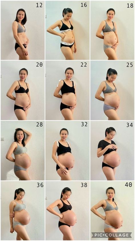 Pregnant Timeline Pictures, Pregnant Week By Week Pictures, How To Pose Pregnant, Bau Outfits, Pregnant Women Dress, Cute Outfits While Pregnant, How To Dress When Pregnant, Women Pregnancy Photos, Pregnancy Outfits Dress