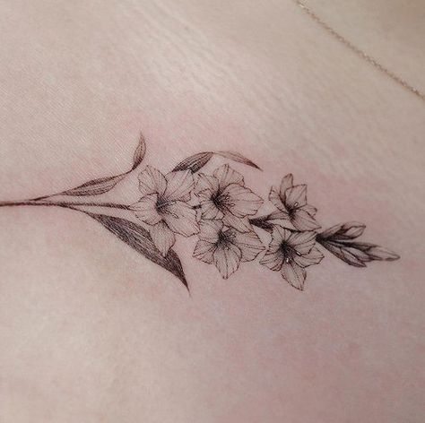 28 Gladiolus and Poppy Tattoo Ideas | Balcony Garden Web Hawthorne Flower Drawing, Gladiolus And Poppy Tattoo, Gladiolus Tattoo Design, Hawthorn Flower Tattoo, Gladiolus Flower Drawing, Gladioli Tattoo, Gladiolas Tattoo, Hawthorn Tattoo, Tat Drawings