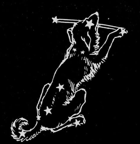 Long Widget Blue, Sirius Black Dog, Sirius Star, Marauders Dr, Zodiac Academy, Canine Art, Bleach Art, Aesthetic Tattoo, Pin Art