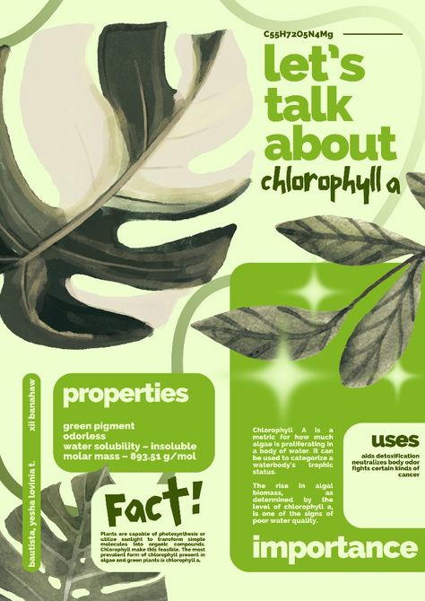 Poster Ideas Information, Plant Infographic Design, Graphic Design Posters Infographic, Wildlife Graphic Design, Nature Infographic Design, Biology Graphic Design, Plant Sale Poster, Natural Poster Design, Leave Behind Ideas Graphic Design