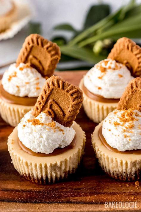 Mini Biscoff Cheesecake, Large Cheesecake, Sugar Free Pastries, Easy Mini Cheesecake Recipe, Individual Cheesecakes, Biscoff Cheesecake, Mini Cheesecake Recipes, Cheesecake Toppings, Dessert Bites