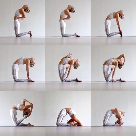 Yoga Self Practice on Instagram: “Have you tried all these different variations of #camelpose or #ustrasana building up to #kapotasana ? Where are you at with this pose?…” Camel Pose Yoga, Essential Yoga Poses, Pilates Poses, Yoga Photoshoot, Yoga Inspo, Yoga Poses Advanced, Camel Pose, Daily Yoga Workout, Yoga Photos