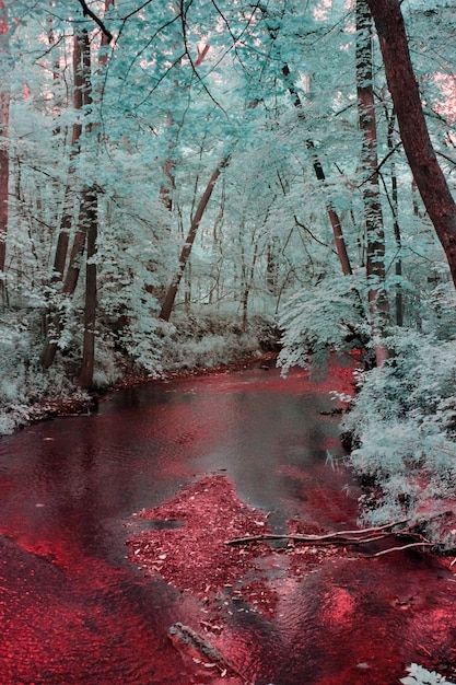 Pretty Like Blood In Snow, Red River Aesthetic, Blood In Snow Aesthetic, Blood In The Snow, Blood In Snow, Blood Astethic, Blood On Snow, Blood River, Blood In The Water