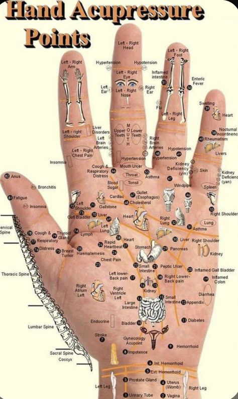 Autogenic Training, Pressure Point Therapy, Reflexology Foot Chart, Bolesti Chrbta, Point Acupuncture, Hand Reflexology, Reflexology Chart, Reflexology Massage, Trening Fitness