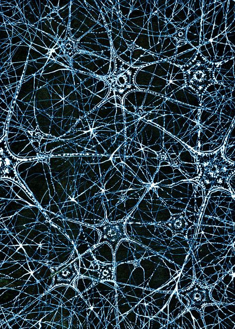 Neuro Science Aesthetic, Brain Waves Aesthetic, Modern Technology Aesthetic, Neuro Aesthetic, Neuroscience Art, Brain Neurons, Microscopic Photography, Brain Art, Bio Art