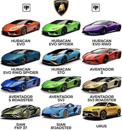 Car Brands Logos, Car Facts, Luxury Car Brands, Lamborghini Cars, Exotic Sports Cars, Cool Sports Cars, The Senses, Fancy Cars, Super Luxury Cars