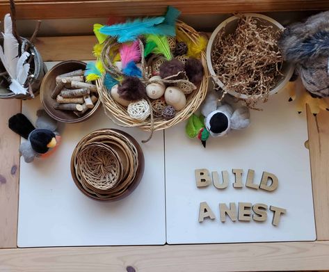 Build A Nest Preschool, Bird Nest Activities Preschool, Bird Nest Building, Bird Nest Activity, Build A Bird Nest, Osc Activities, Activity Table For Kids, Bird Nest Art, Block Center Preschool