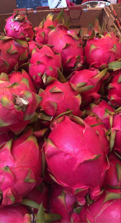 Dragon Fruit Aesthetic, Fruit Store, Iyo Sky, Dragon Fruit Plant, Ice Bear We Bare Bears, Buah Naga, Fruit Du Dragon, Healthy Food Motivation, Sour Candy