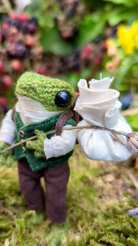 India Rose Crawford (@indiarosecrawford) • Instagram photos and videos Weird Frog, Picking Blackberries, Knitted Frog, Froggy Stuff, Blackberry Picking, Beatrice Potter, Knitting Board, India Rose, Frog Pictures