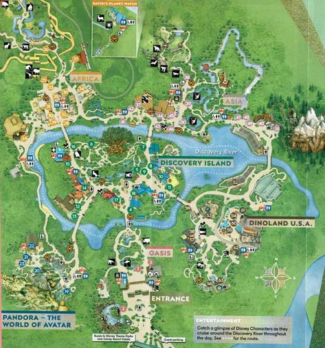 Animal Kingdom Map, Disney World 2023, Magic Kingdom Map, Theme Park Map, Disney World Map, Kingdom Map, Planning Day, Planet Zoo Inspiration, Discovery Island