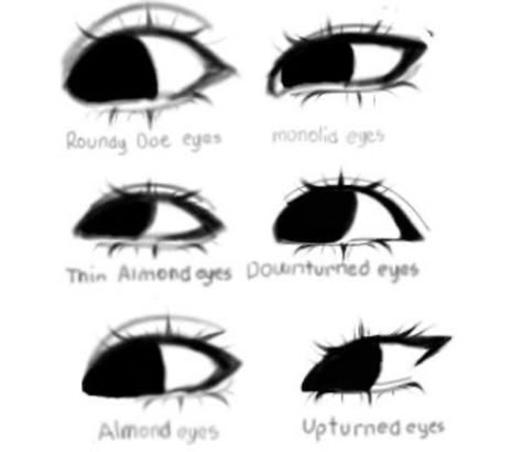 Eyes Drawing Inspiration, Eyes Shape Reference, Eye Refrences Photos Drawing Anime, Doe Eye Drawing Reference, Anime Face Features, Eye Shape Drawing Reference, Eye Refrences Photos Drawing, How To Draw A Head Tut, Anime Eye Shape Reference