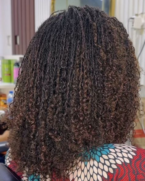 Sister Locs With Extension, Gray Microlocs, Micro Locs Curly Ends, Braidlocs Journey, Micro Loc Extensions, Micro Braids Hairstyles, African Natural Hairstyles, Sister Locks, Micro Locs