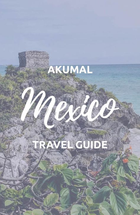 Places To Visit In Cancun, Cancun Honeymoon, Akumal Mexico Things To Do, Playa Del Carmen Mexico Things To Do In, Things To Do In Playa Del Carmen, Playa Del Carmen Itinerary, Akumal Beach, Akumal Mexico, Thailand Activities