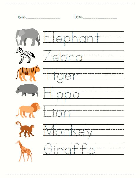 Free Safari Animal Worksheets for PreK are great for writing and math learning! Trace the animal names while talking about each animal: what color it is, what sound it makes, and where it lives! Study Africa, zoos, or animals with these fun worksheets. Also include addition (with pictures), tracing words, and fun facts about these awesome animals. Includes elephants, zebras, tigers, hippos, lions, monkeys, and giraffes! Zoo Animal Tracing, Animals Tracing Worksheet, Worksheets For Prek, Zoo Animals Preschool, Tracing Words, Zoo Animal Activities, Learning Animals, Animal Writing, Math Pages