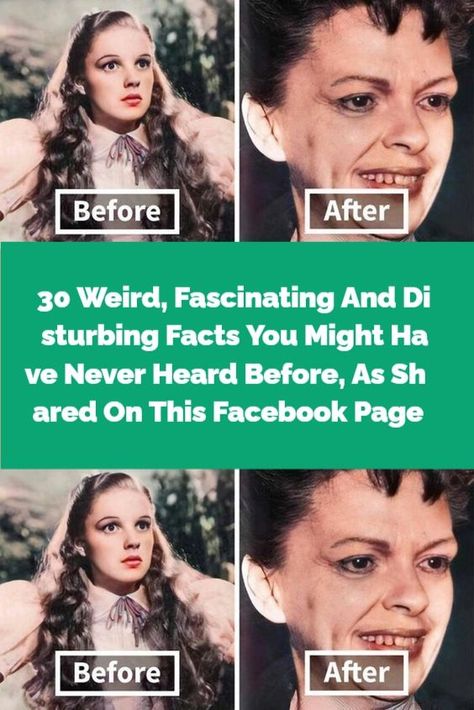 30 Weird, Fascinating And Disturbing Facts You Might Have Never Heard Before, As Shared On This Facebook Page Disturbing Facts, Bank Robbery, Funny Animal Quotes, Jim Morrison, Animal Quotes, Cute Funny Animals, Facebook Page, Call Her, Real People