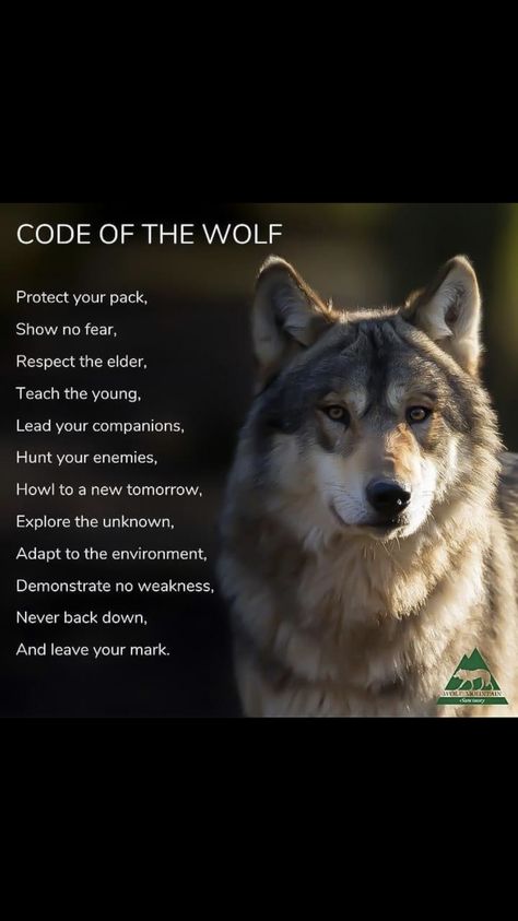 Wolf In Japanese, Wolf Traits, Wolf Knowledge, Code Of The Wolf, Wolf Code, Wolf Characteristics, Wolf Facts, Facts About Wolves, Captain Puffy