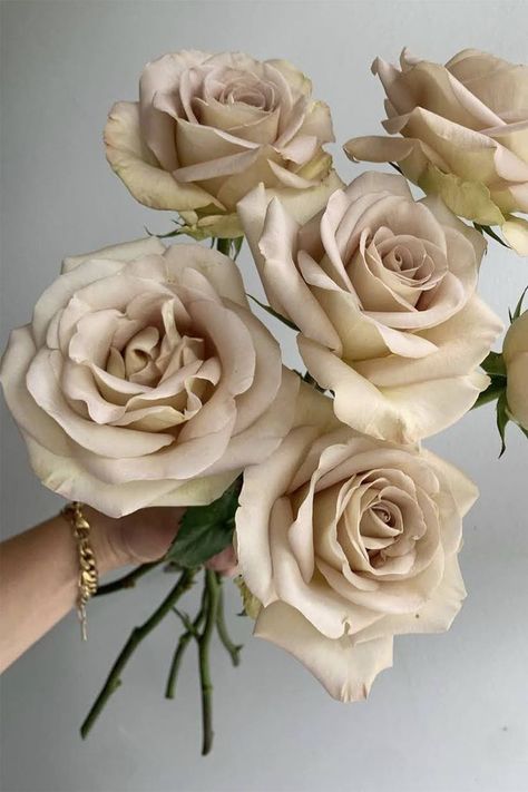 Champagne Roses Wedding, Cream Color Flowers, White Rose Varieties, Neutral Florals For Wedding, Cream Wedding Florals, Wedding Florals Neutral, Champagne Flower Arrangements, Taupe Wedding Flowers, Taupe Roses