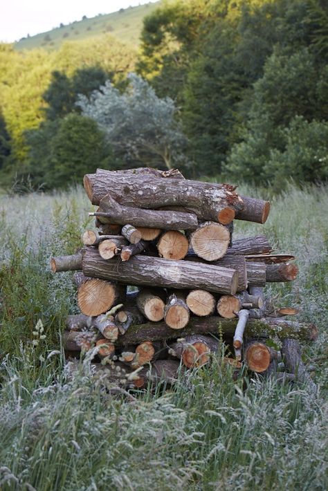 In most climates trees are felled in spring or even early summer and then dried in the open air before being chopped or stored in a wood shed or open stack over the summer or autumn. They will be ready to burn by winter. Log Planter, Homesteading Diy, Wood Pile, Homesteading Skills, Backyard Sheds, Divine Nature, Backyard Shed, Planter Design, Wood Shed