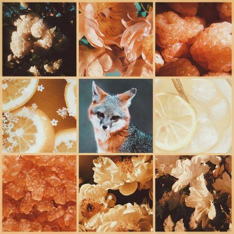 Fox Moodboard, Animal Moodboard, Orange Moodboard, Random Theme, Fall Moodboard, Themes Aesthetic, Mood Aesthetic, Adopt Idea, Aesthetic Goth