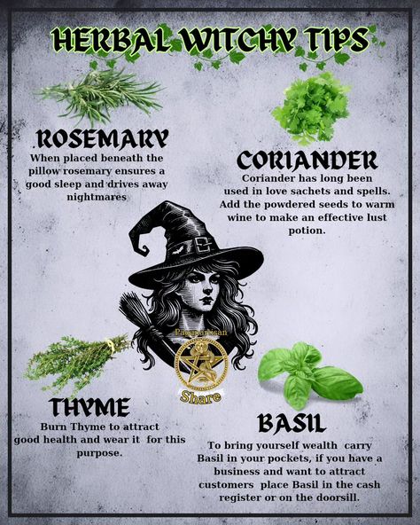 Unlock the magic of herbal witchcraft with these enchanting tips! 🌿✨ Start by incorporating rosemary for protection and clarity, and lavender for peace and relaxation. Create a sacred space with sage smudging to cleanse negative energies. 🌙 Brew a chamomile tea to enhance your intuition and connect with your inner self. Remember, intention is key in every spell. Embrace the power of nature and let your spirit soar! 🌟 #HerbalMagic #WitchyVibes Most Common Herbs Used In Witchcraft, Herbal Magic Witchcraft, Herbology Witchcraft, Witch Studying, Herbal Witchcraft, Herbs For Spells, Protection Herbs, Witchy Recipes, Magical Herbs Witchcraft