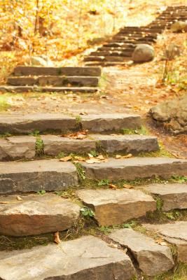 How to Make a Natural Staircase to a Garden Natural Staircase, Rock Steps, Landscape Stairs, Landscaping On A Hill, Landscape Steps, Sloped Yard, Building Stairs, Stone Steps, Garden Stairs