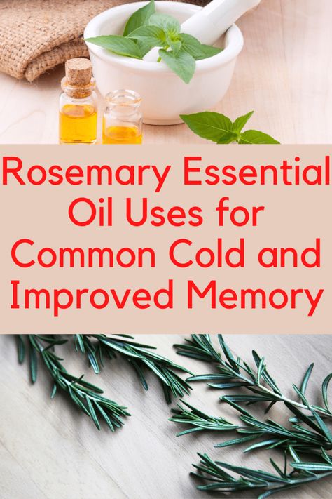 Rosemary Essential Oil Benefits, Rosemary Oil Benefits, Essential Oils For Memory, Rosemary Oil For Hair Growth, Diy Herbal Remedies, Essential Oils For Colds, Rosemary Oil For Hair, Rosemary Essential Oil, Doterra Essential Oils Recipes