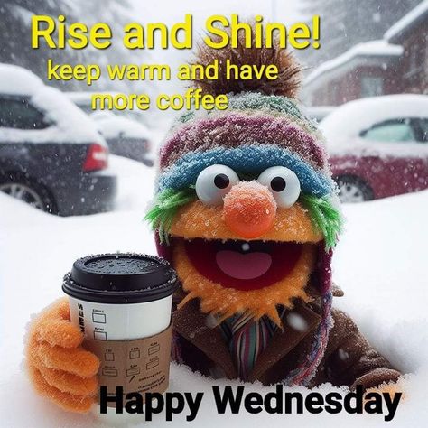 Good Morning Stay Warm, Stay Warm Quotes, Warm Quotes, Wednesday Coffee, Wednesday Greetings, Good Morning Animals, Good Morning Hug, Thursday Humor, Wednesday Humor