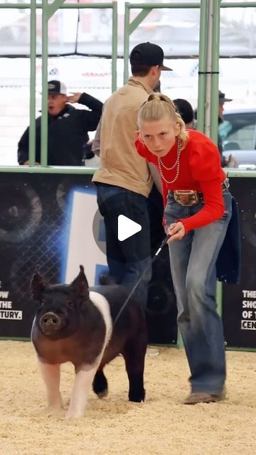 Dadson Farms Show Pigs on Instagram: "Krew and Karis at The Revival Livestock Show! #showpigs #pigshow #hogshowman" Pig Show Outfits, Livestock Show Outfits Pigs, Livestock Show Hairstyles, Livestock Outfits, Show Pigs Tips, Pigs Farming Livestock, Livestock Show Outfits, Showing Pigs, Show Lambs