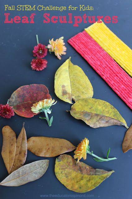 FALL STEM Challenge for Kids: Leaf Sculptures. After creating their sculpture, students can describe & write about them for language practice. Fall Stem Challenges, Fall Leaves Activities, October Preschool, Stem Activities For Kids, Language Practice, Fall Science, Preschool Stem, Stem Ideas, Fall Activity