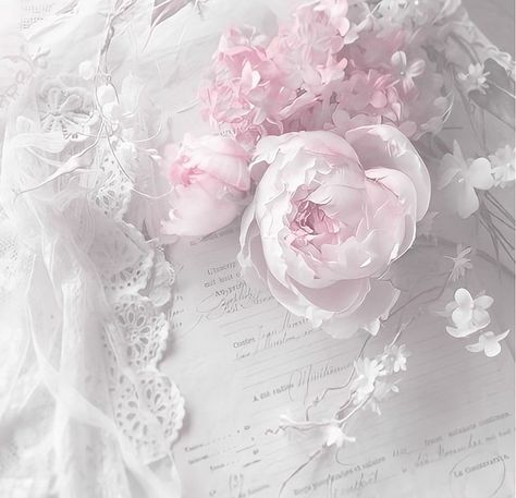 Pinkish White Aesthetic, Luvsoft White, Soft Pink Theme, Vintage Flowers Wallpaper, Pink Images, Color Vibe, Rosé Aesthetic, Creative Profile Picture, Pink Vibes