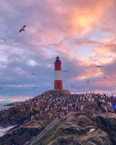 Ushuaia, Watch Wallpaper, Visual Inspiration, Watercolor Inspiration, Travel Inspo, Bolivia, Patagonia, Lighthouse, Places To Go