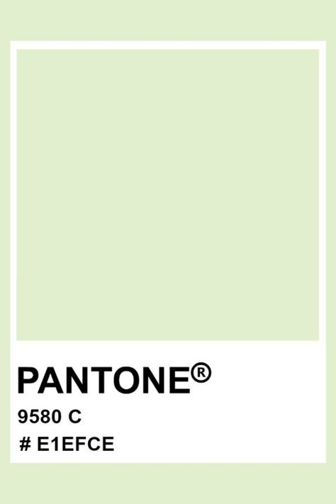 RGB : 225,239,206 | CMYK : 6%, 0%, 14%,6% Pantone Colors Pastel, Spring Pantone Colors, Light Green Pantone, Pantone Pallete, Pastel Pantone, Pantone Color Chart, Pistachio Color, Pantone Palette, Pantone Colour Palettes