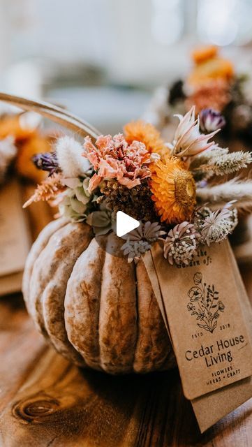 Jess Buttermore | Flowers • Herbs • Craft on Instagram: "These eco-friendly dried botanical pumpkins are a lovely way to mark the season and honor your teachers, neighbors, friends, and other special people in your life at the same time. I made these using dried botanicals from my garden and small black futsu decorative pumpkins to decorate our teachers’s desks and included a gift card so they could treat themselves at our favorite local coffee shop @aromacoffee. Here’s how I made them:  Materials: 🤎 dried botanicals 🤎 small decorative pumpkins 🤎 twine or raffia ribbon 🤎 gift tag 🤎 gift card to your favorite local coffee shop   Supplies: 🤎 hole punch 🤎 scissors 🤎 glue gun (optional)  To make: 1. Write a message on your gift tag. Punch a hole into the tag and into the gift card enve Dried Floral Pumpkin Arrangement, Dried Floral Pumpkin, Dried Flowers Pumpkin, Pumpkin With Dried Flowers, Dried Flower Pumpkin, Inside Of A Pumpkin, Thanksgiving Flower Arrangements, Coffee Shop Supplies, Dried Botanicals