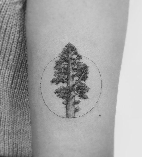 Redwood Tree Tattoo, Tree Line Tattoo, Redwood Tattoo, Tree Tattoo Ideas, Hongdae Seoul, Wood Tattoo, Minimal Tattoos, Tree Tattoos, Tree Tattoo Designs