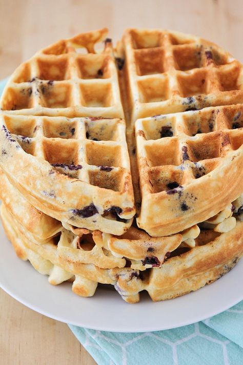 Blueberry Waffles Recipe, Buttermilk Waffles Recipe, Blueberry Waffle, Belgian Waffles Recipe, Waffle Iron Recipes, Buttermilk Waffles, Blueberry Waffles, Waffle Maker Recipes, A Spicy Perspective